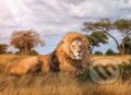 Puzzle: The King (Clementoni)