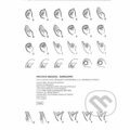 Prstová abeceda - samolepky (metodický materiál - sluchové postižení)  8 listů, Septima