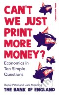 Kniha: Can't We Just Print More Money? (Rupal Patel)