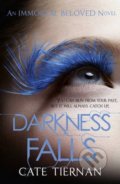 Darkness Falls - Cate Tiernan, Hodder and Stoughton, 2012