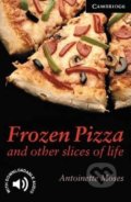 Frozen Pizza and Other Slices of Life - Antoinette Moses, Cambridge University Press, 2002