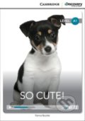 Kniha: So Cute! Beginning Book with Online Access (Kenna Bourke). Cambridge University Press, 2014
