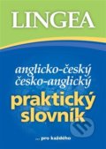 Anglicko-český a česko-anglický praktický slovník, Lingea, 2022