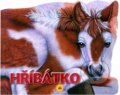 Kniha: Hříbátko (Esperanza Soria). SUN, 2006