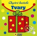 Kniha: Tvary (SUN)