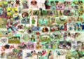 Puzzle: Dogs (Bluebird). Bluebird, 2022