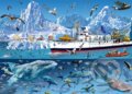François Ruyer - Arctic - Bluebird Boat, Bluebird, 2022