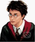 Malování podle čísel: Harry Potter - Harry portrét (Zuty). Zuty, 2022