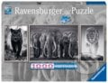 Panter, slon a lev, Ravensburger, 2022