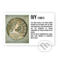 Magnet Alfons Mucha - Ivy, Presco Group, 2022