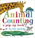 Kniha: Animal Counting (Petr Horáček). Walker books, 2012