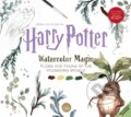 Harry Potter Watercolour Wizardry - Tugce Audoir, HarperCollins, 2022