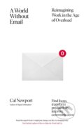 E-kniha: A World Without Email (Cal Newport)