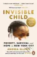 Invisible Child - Andrea Elliott, Cornerstone, 2023