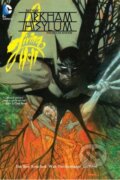 Kniha: Batman: Arkham Asylum Living Hell (Dan Slott a Ryan Sook). DC Comics, 2014
