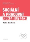 Sociální a pracovní rehabilitace - Petra Sládková, 2021