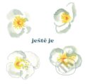 Hudobné CD: Vladimír Javorský: Ještě je LP (Hudobné albumy). Hudobné albumy, 2023