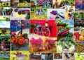 Collage - Bikes, 2023
