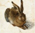 Puzzle: Albrecht Dürer - The Rabbit, 1502 (Grafika). Grafika, 2023