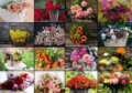 Puzzle: Collage - Flowers (Grafika). Grafika, 2023