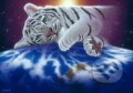 Puzzle: Schim Schimmel - Cuddle Time (Grafika). Grafika, 2023
