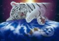 Puzzle: Schim Schimmel - Cuddle Time III (Grafika). Grafika, 2023