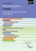 Kniha: Pracovní právo v praxi (Antonín Kottnauer). Leges, 2014