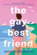 Gay Best Friend - Nicolas DiDomizio, Sourcebooks Casablanca, 2023