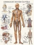 Lymfatický systém člověka (mapa) - Eva Hrubá, Poznání