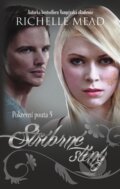 E-kniha: Pokrevní pouta 5: Stříbrné stíny (Richelle Mead). Domino, 2014