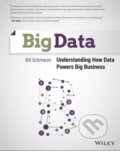 Kniha: Big Data (Bill Schmarzo). Wiley-Blackwell, 2013
