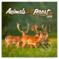 Poznámkový kalendár Animals of The Forest 2024, Notique, 2023