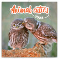 Poznámkový kalendár Animal Cuties 2024, Notique, 2023