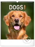 Nástěnný kalendář Dogs 2024, Notique, 2023