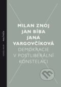 Demokracie v postliberální konstelaci - Milan Znoj, Jan Bíba, Jana Vargovčíková, 2015