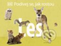 Kniha: Les (Autorský kolektív). Drobek, 2023