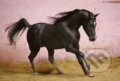 Čierny žrebec - Gabrielle Boiselle, Schmidt