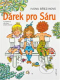 Kniha: Dárek pro Sáru (Ivona Březinová). Artur, 2008