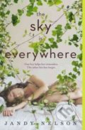 The Sky Is Everywhere - Jandy Nelson, Penguin Books, 2015