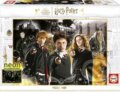 Puzzle: Svítící Harry Potter 2 (Educa). Educa, 2023