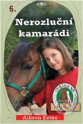 Kniha: Stříbrné podkovy (Allison Estes). Alpress, 2007