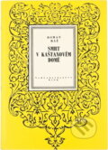 Kniha: Smrt v kaštanovém domě (Roman Ráž). , 1976