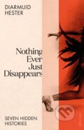 Nothing Ever Just Disappears - Diarmuid Hester, Allen Lane, 2023