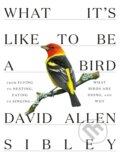 Kniha: What It's Like to be a Bird (David Allen Sibley)