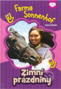 Kniha: Zimní prázdniny (Andrea Wandel). , 2013