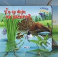 Kniha: Čo sa deje na jazere? (Matys). Matys, 2015