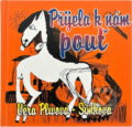 Kniha: Přijela k nám pouť : filmová povídka (Věra Plívová-Šimková). , 1995