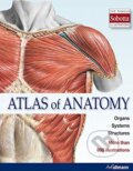 Atlas of Anatomy, Ullmann, 2015