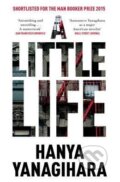 A Little Life - Hanya Yanagihara, MacMillan, 2015