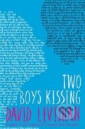 Two Boys Kissing - David Levithan, Electric Monkey, 2014